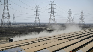 Magnata indiano que fez fortuna com carv&atilde;o agora aposta em energias renov&aacute;veis