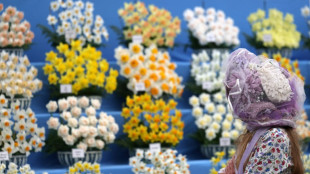 Patate douce, pois chiches et IA au c&eacute;l&egrave;bre Chelsea Flower Show de Londres