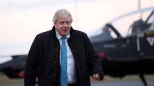 La Grande-Bretagne va proposer à l'Otan un déploiement "majeur" de troupes en Europe