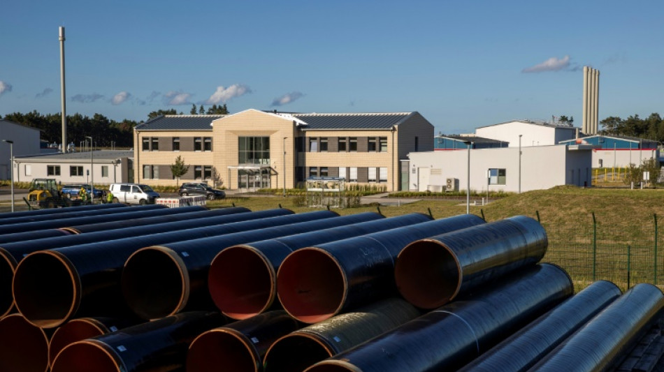 La crisis ruso-ucraniana pone en jaque a la diplomacia "gas&iacute;fera" alemana