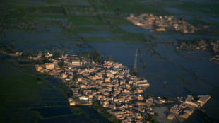 UN chief 'never seen climate carnage' like Pakistan floods