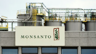 Monsanto: object of Bayer desire despite GMO fears
