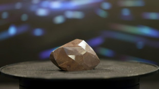 Black diamond, largest ever cut, sells for £3.2 million