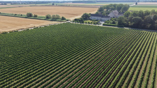 Il futuro dell'agricoltura parte dal suolo, 250 giovani scelgono vie dell'innovazione