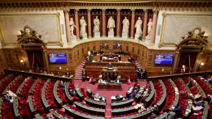 S&eacute;natoriales: le RN veut s'implanter, plusieurs sortants r&eacute;&eacute;lus