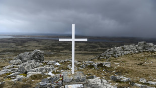 UK asserts 'unshakeable' Falklands commitment after Milei presses claim