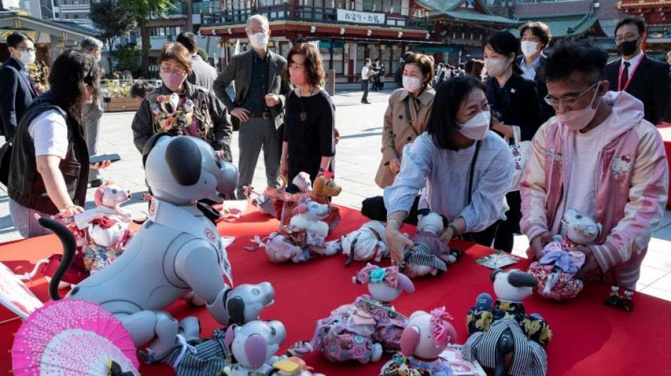 Sony stellt Verkauf von Roboterh&uuml;ndchen Aibo in Japan ein