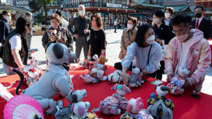 Sony stellt Verkauf von Roboterh&uuml;ndchen Aibo in Japan ein
