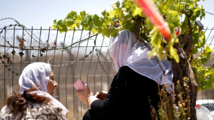 "Comme un r&ecirc;ve": sur le plateau du Golan, des retrouvailles entre druzes