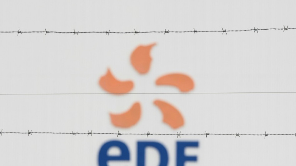 Francia reflota el gigante energ&eacute;tico EDF con casi 2.700 millones de euros