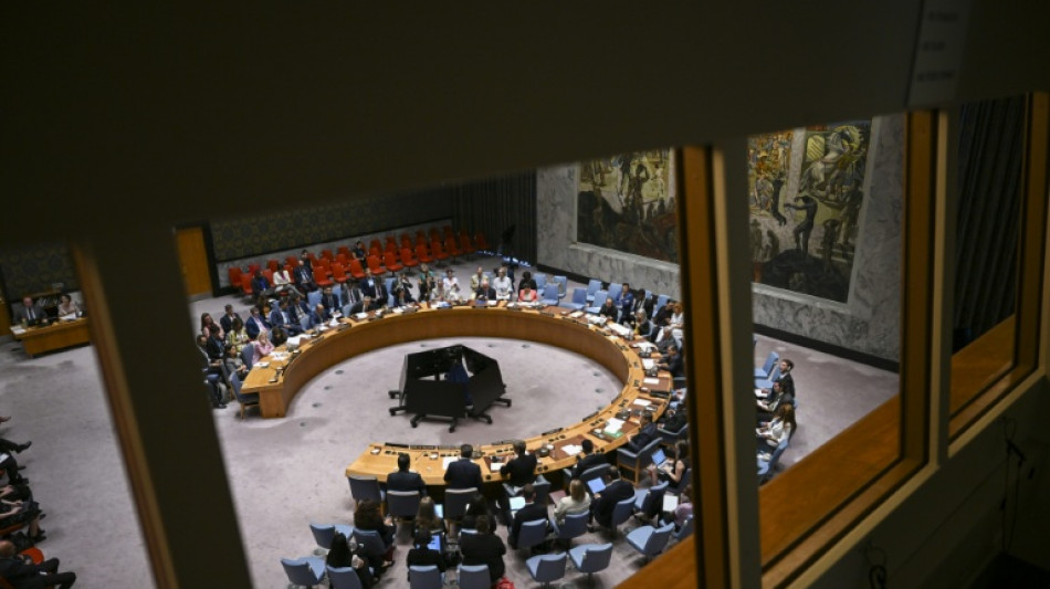 Sahara occidental: le Conseil de sécurité de l'ONU soutien le plan d'autonomie marocain