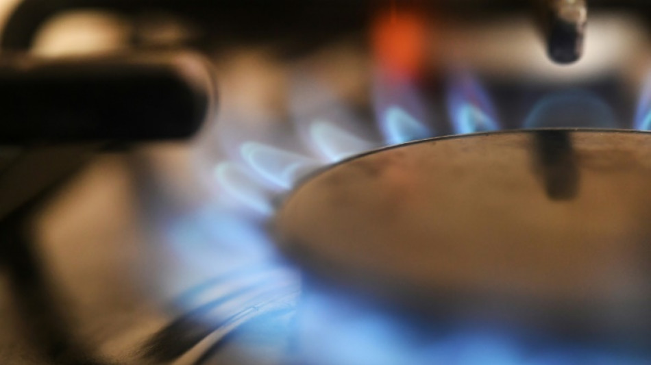 L'Espagne, t&ecirc;te de pont alternative pour l'approvisionnement en gaz de l'UE?