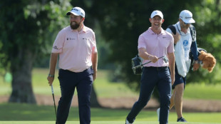 McIlroy and Lowry team to share lead at PGA Zurich Classic