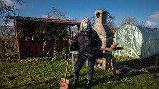 "Tout augmente": en Alsace, des jardins ouvriers face &agrave; la hausse du co&ucirc;t de la vie