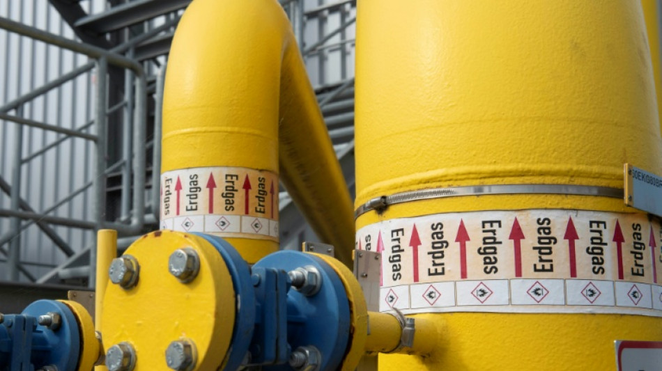 Hauseigent&uuml;mer und &Ouml;l- und Gasverb&auml;nde f&uuml;r Erneuerbaren-Quote im Brennstoffhandel