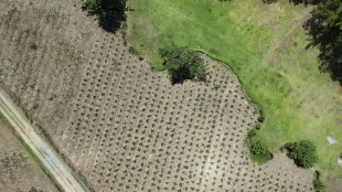 Guatemala anuncia ayuda alimentaria para m&aacute;s de un mill&oacute;n de familias afectadas por la sequ&iacute;a
