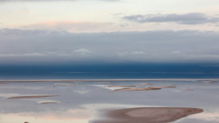 Lake Urmia risks fully drying up: Iran wetlands chief