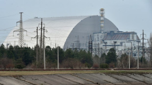 Internationale Atombeh&ouml;rde besorgt wegen K&auml;mpfen nahe Tschernobyl