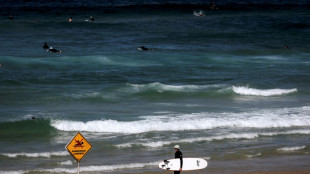 Sydney unter Schock: Surfer von "großem Hai" attackiert und getötet