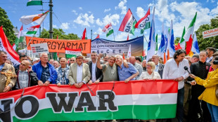 Orban holds mass 'peace' rally as EU elections near