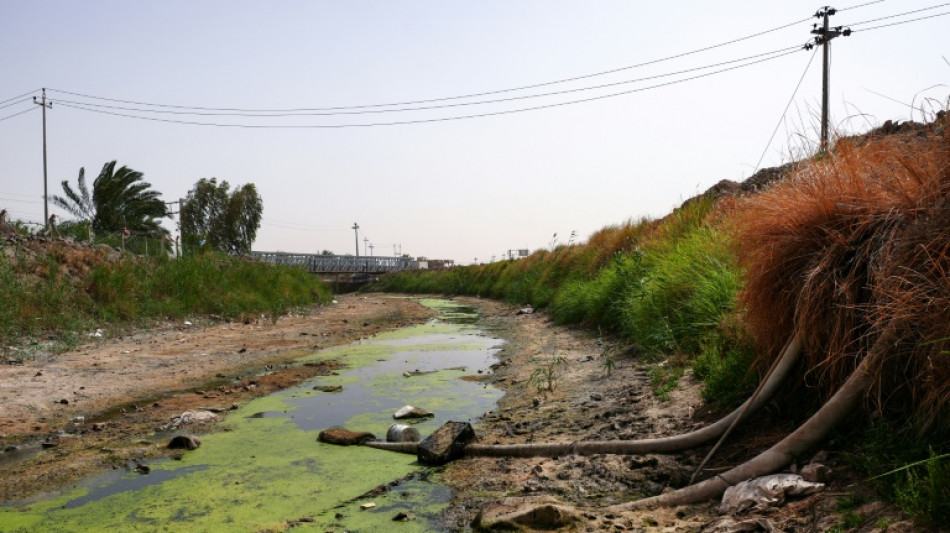 Irak: les réserves d'eau au plus bas depuis 80 ans, selon le gouvernement