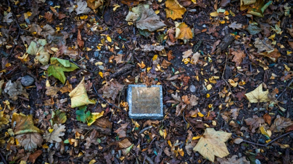 Aupr&egrave;s de leur arbre, ils go&ucirc;tent au repos &eacute;ternel