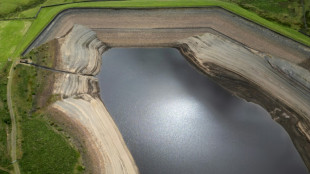 Grande-Bretagne: p&eacute;nurie d'eau "d'importance nationale" en Angleterre