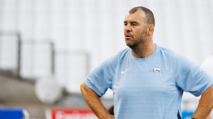 Argentina's Cheika backs veterans for Chile 'derby'