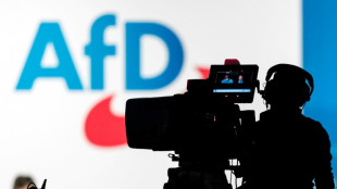 German court defeat deals fresh blow to far-right AfD