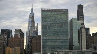 Reino Unido apoya una iniciativa franco-mexicana para limitar el veto en la ONU