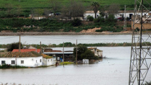 Tres muertos en España al derrumbarse una nave agrícola por el mal tiempo