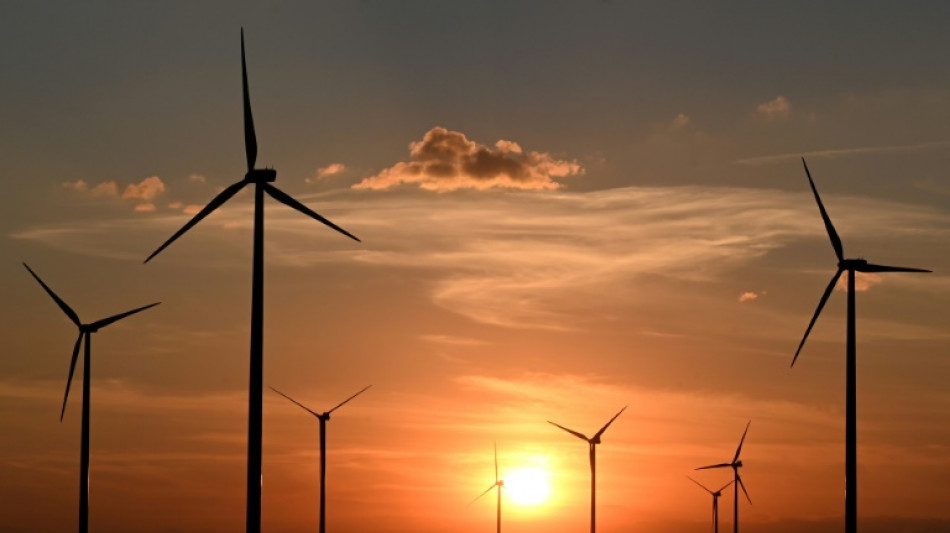 Erneuerbare Energien sollen künftig im "überragenden öffentlichen Interesse" liegen