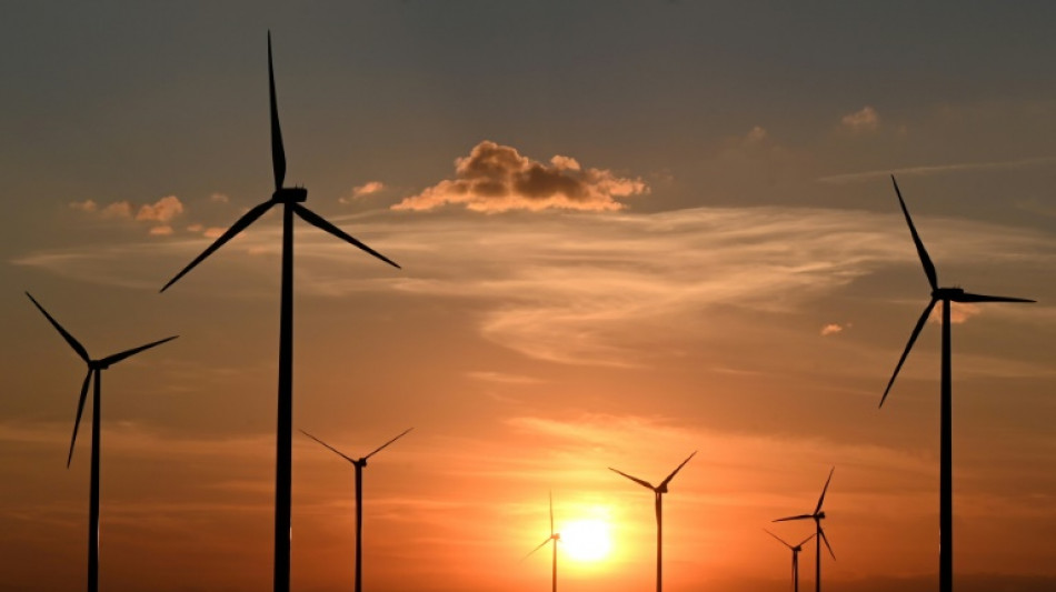 Studie: Jeder dritte ausgeschriebene Job hat mit "Green Economy" zu tun