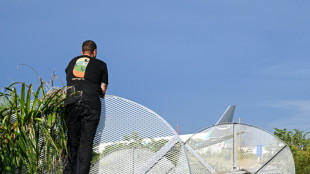 Amazon suspende las operaciones con el propietario de un avi&oacute;n de carga que se sali&oacute; de la pista en Miami