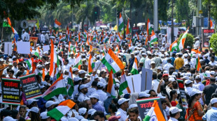 Indians protest election chief ahead of top court hearing