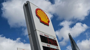 Shell profit tumbles on falling oil and gas prices