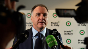 Orsini, Ue-Usa partner da 80 anni ma aprire nuovi mercati