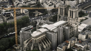 Ancient tombs unearthed at Paris' Notre Dame cathedral