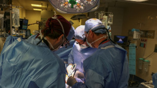 US surgeons transplant pig kidney to live patient in world first
