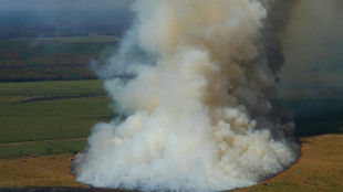 Incendie en Gironde: nuit calme, mais vent et chaleur menacent