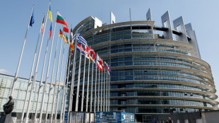 AfD in Europawahl-Umfrage bei 19 Prozent - Union klar st&auml;rkste Kraft