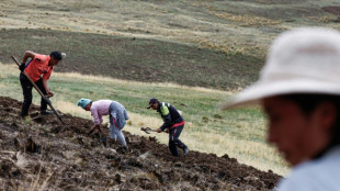 "On ne peut plus lutter seuls": le SOS des agriculteurs p&eacute;ruviens face &agrave; la s&eacute;cheresse