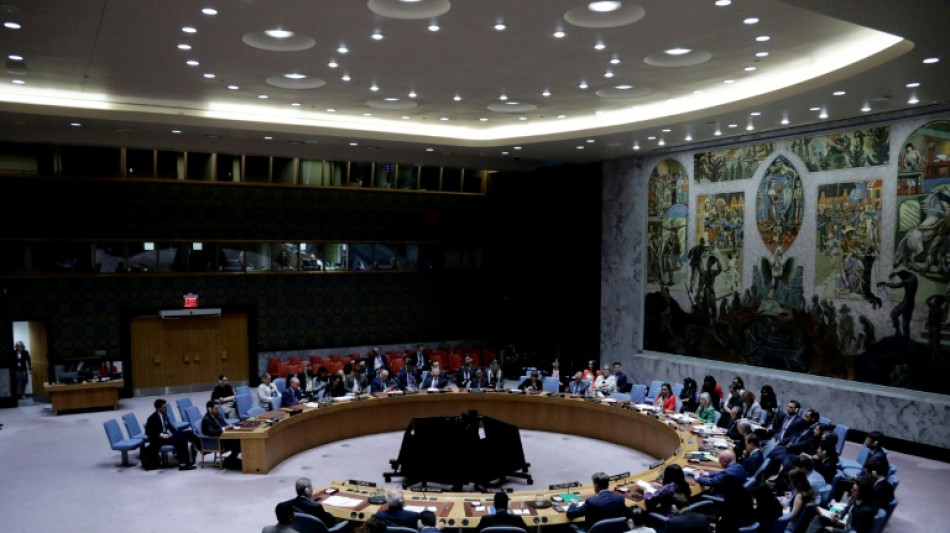 Gaza: nouveau v&eacute;to am&eacute;ricain au Conseil de s&eacute;curit&eacute; de l'ONU