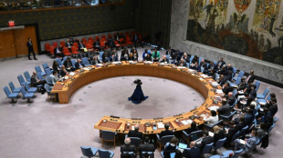 UN Security Council set to vote on Palestinian membership