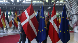 EuGH urteilt &uuml;ber d&auml;nische Regelung zu Brennpunktstadtteilen