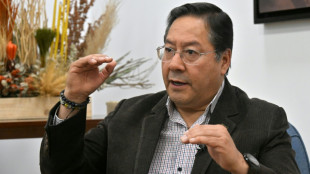 Bolívia pode entrar em default sem novo financiamento, diz presidente Arce à AFP