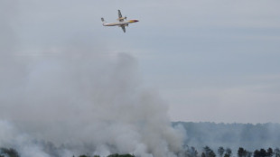 Bretagne: 100 hectares brûlés dans la forêt de Brocéliande près de Rennes