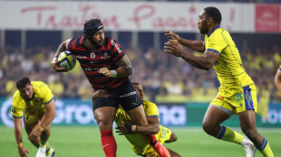 Top 14: Toulouse, Toulon, Pau et Bayonne pour confirmer &agrave; domicile