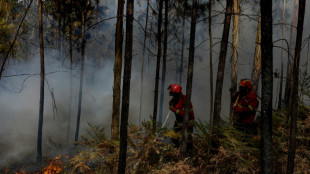 Incendios se extienden por sur de Europa, España vive pico de la ola de calor