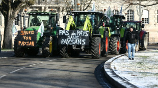 Francia limita importaciones agr&iacute;colas en respuesta a la ira hacia el acuerdo UE-Mercosur 